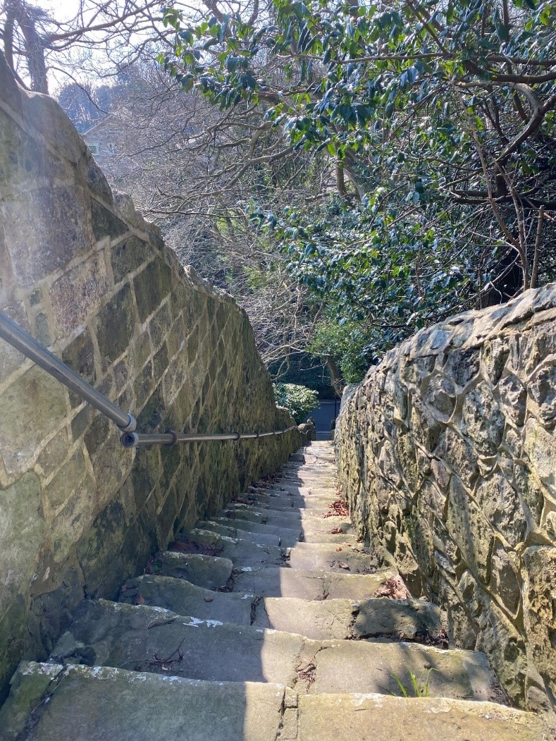 The 101 Steps from Bonchurch Village